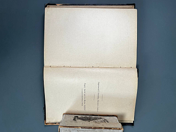Das goldene Buch der Kunst
