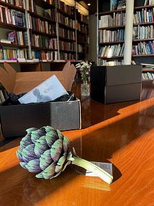 Артишок (Carciofo viola)